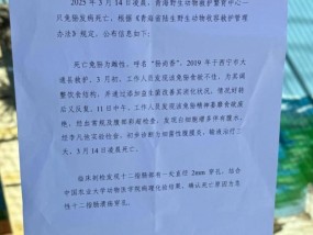 网红兔狲“狲尚香”病亡，死因公布