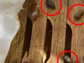 小笼包蒸笼疑现老鼠屎，百年老店知味观深夜致歉