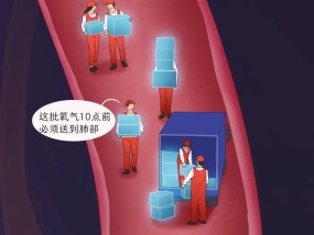 那些猝死的人，都因为搞坏了这个人体最复杂器官